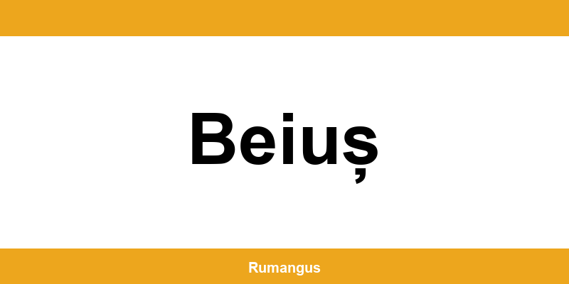 Informații de contact urgente Cargus din Beiuș