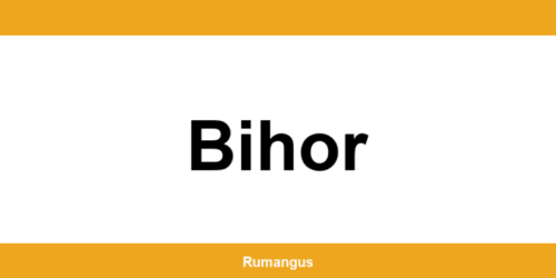 Informații de contact urgente Cargus din Bihor