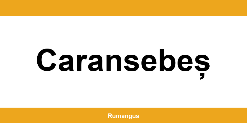 Informații de contact urgente Cargus din Caransebeș