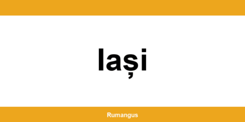 Informații de contact urgente Cargus din Iași