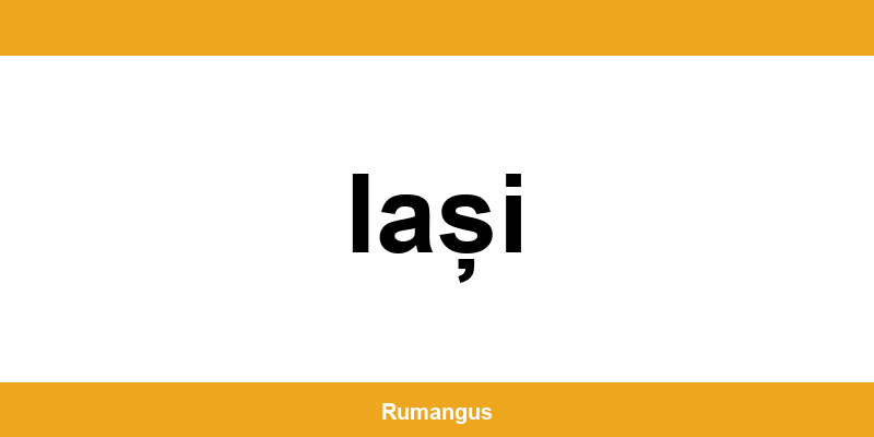 Informații de contact urgente Cargus din Iași