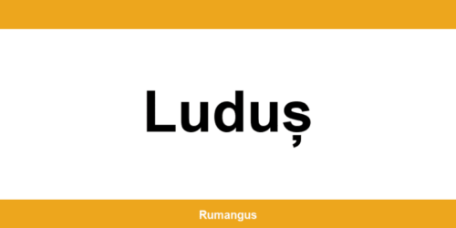 Informații de contact urgente Cargus din Luduș