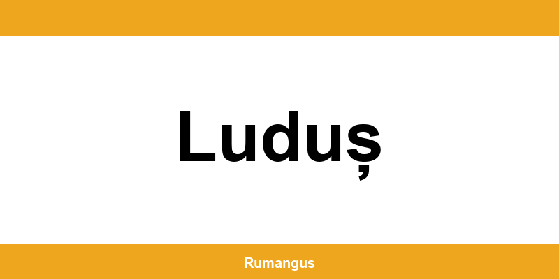 Informații de contact urgente Cargus din Luduș