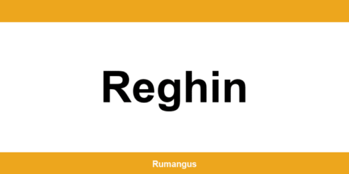 Informații de contact urgente Cargus din Reghin