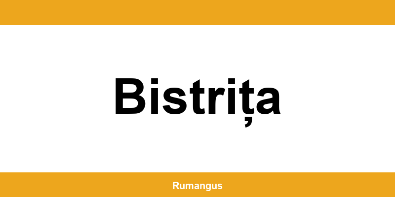 Informații de contact urgente Cargus din Bistrița
