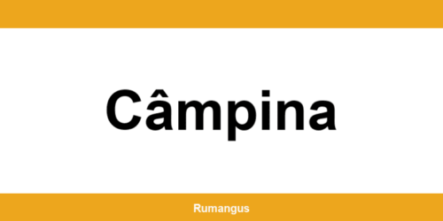 Informații de contact urgente Cargus din Câmpina
