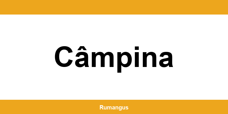 Informații de contact urgente Cargus din Câmpina