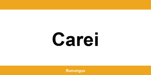 Informații de contact urgente Cargus din Carei