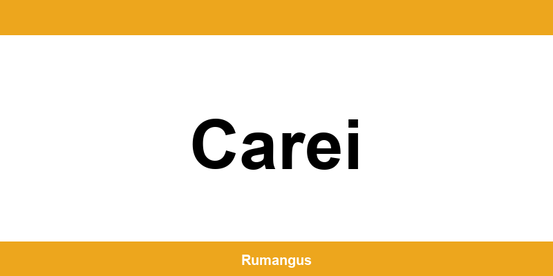 Informații de contact urgente Cargus din Carei