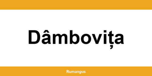 Informații de contact urgente Cargus din Dâmbovița