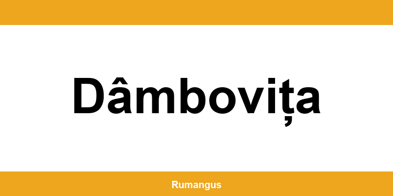 Informații de contact urgente Cargus din Dâmbovița