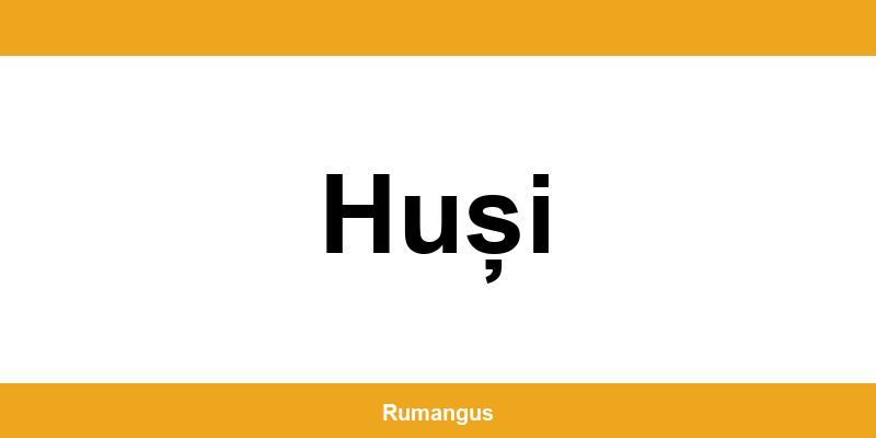Informații de contact urgente Cargus din Huși