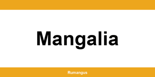 Informații de contact urgente Cargus din Mangalia