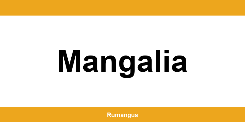 Informații de contact urgente Cargus din Mangalia
