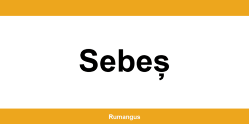 Informații de contact urgente Cargus din Sebeș