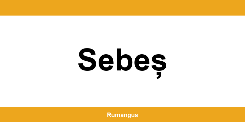 Informații de contact urgente Cargus din Sebeș