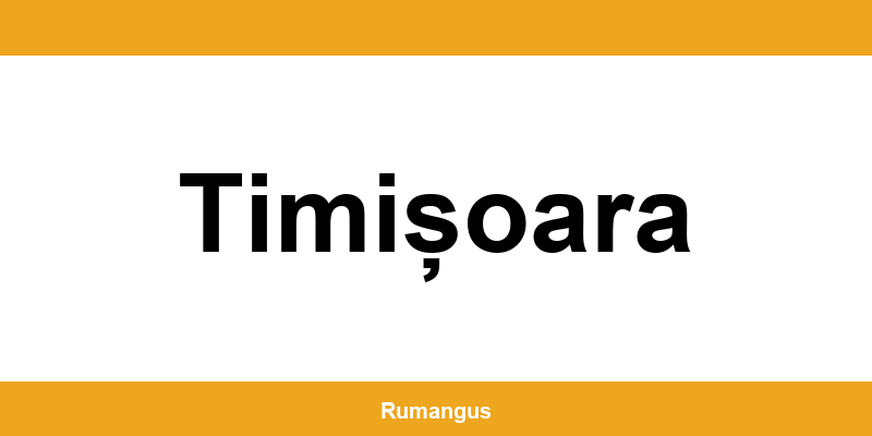 Informații de contact urgente Cargus din Timișoara